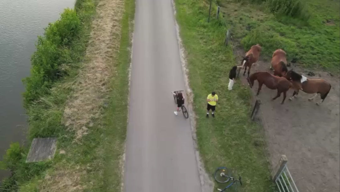 Charger la vidéo : 